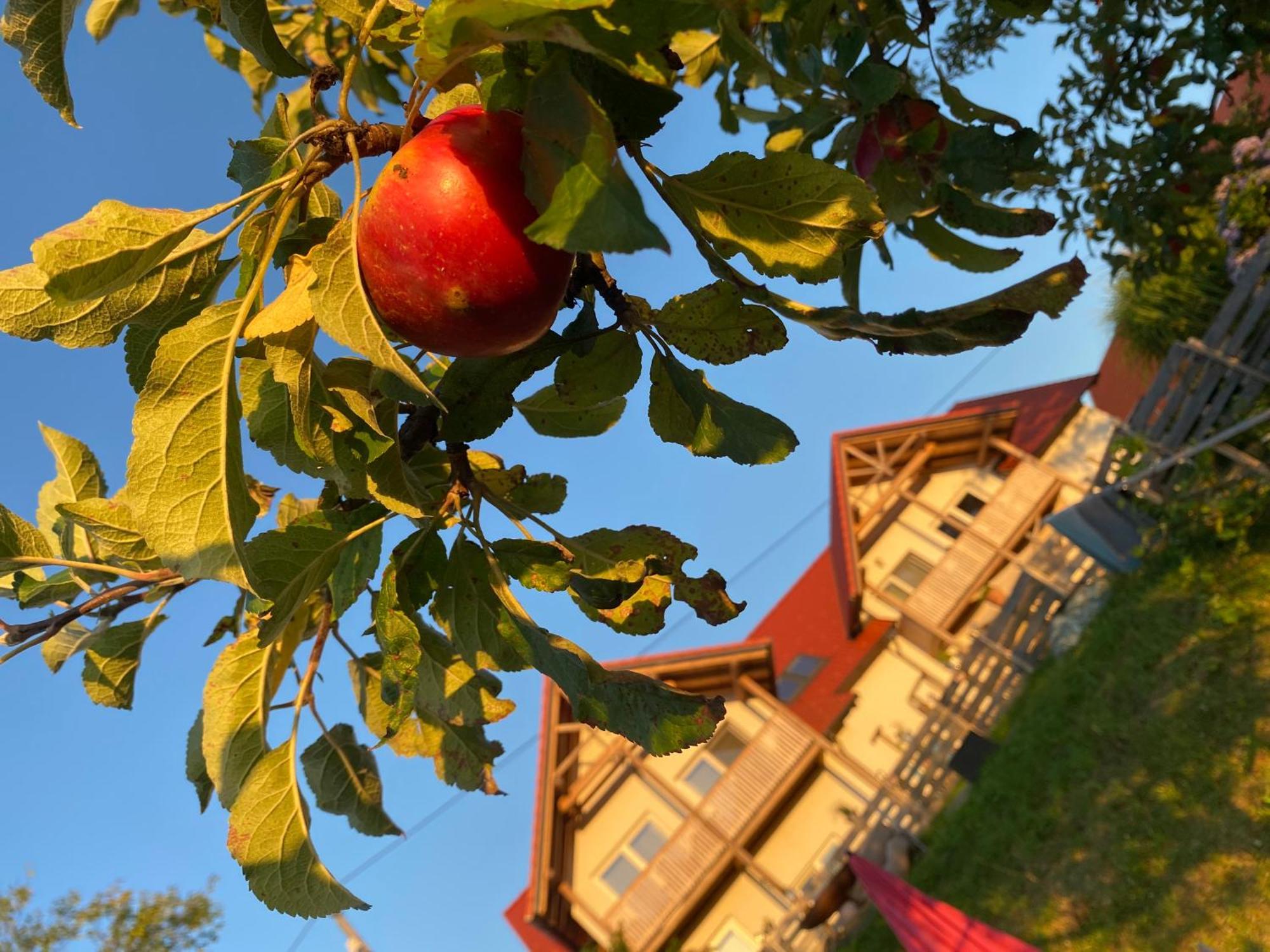 Fugger Alm Aparthotel Weichselbaum Εξωτερικό φωτογραφία