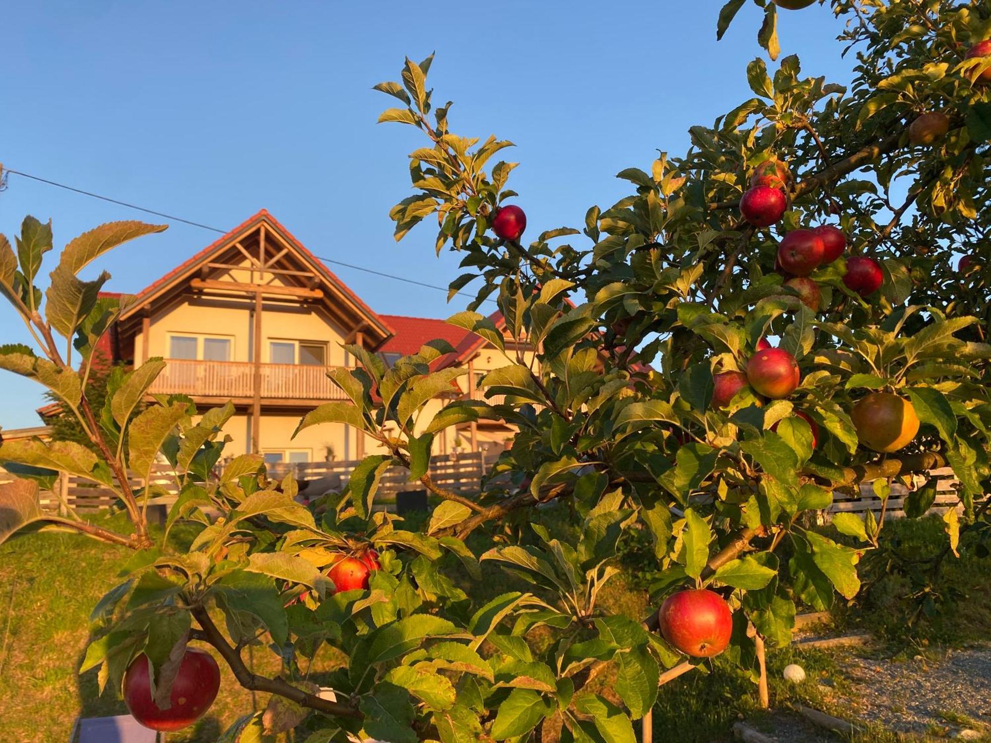 Fugger Alm Aparthotel Weichselbaum Εξωτερικό φωτογραφία